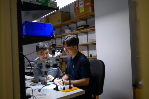Electrical Engineering and Computer Science | MIT School of Engineering
