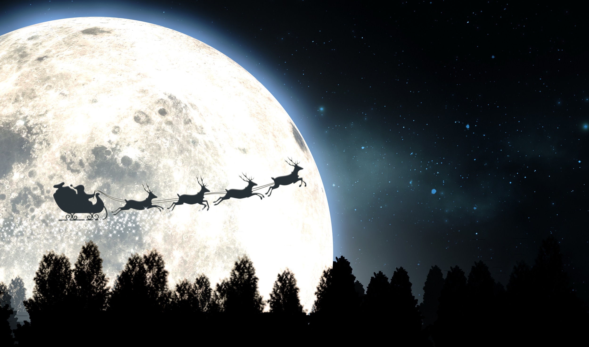 Silhouette of Santa Claus in a sleigh pulled by reindeer flying across a full moon at night, with dark tree tops below and a starry sky in the background.