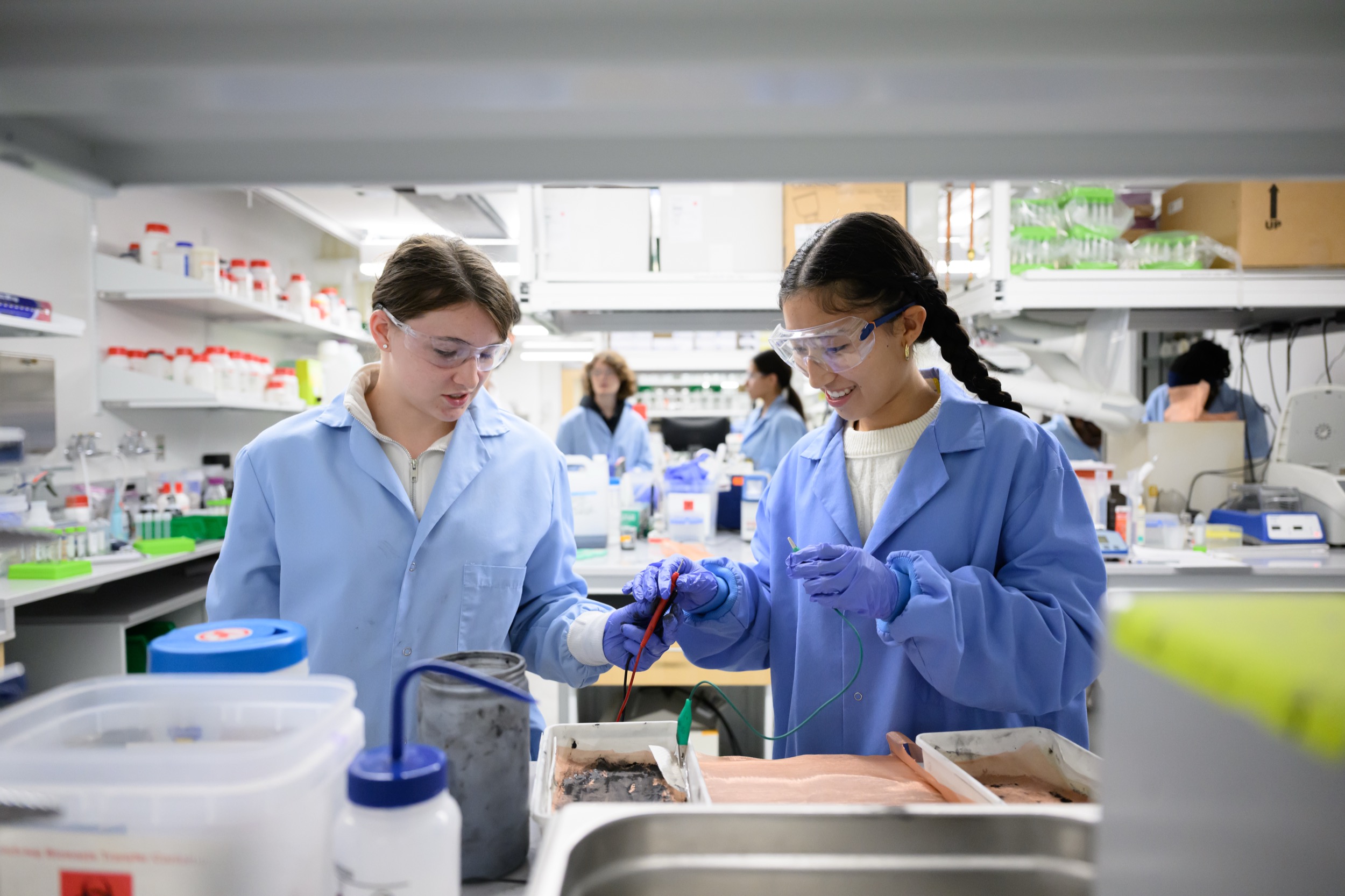 Mit Engineering Undergraduate | MIT School of Engineering